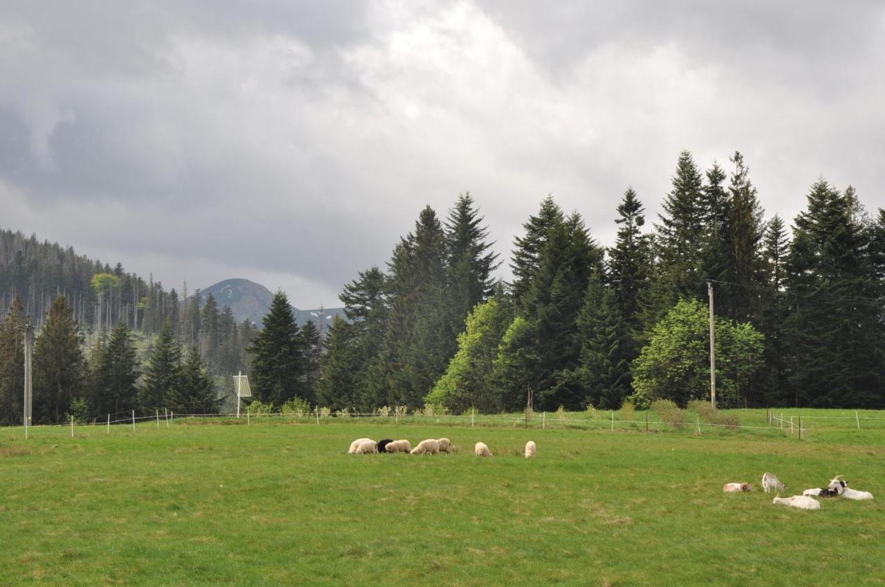 Apartamenty Jszi Zakopane Exterior foto